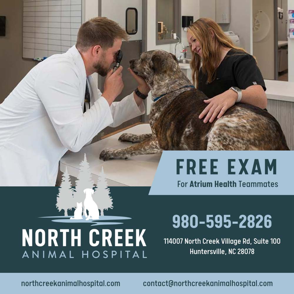 North Creek Animal Hospital